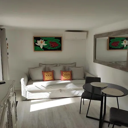 Apartment Magnifique Rez De Jardin Tropezien